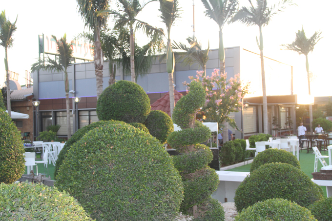 مطعم الريحان جلجولية 